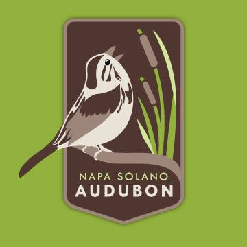 Napa Solano Audubon Society