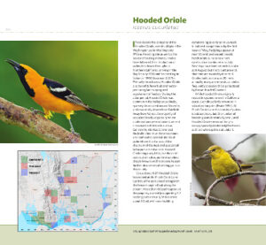 Breeding Birds of Solano County Sample Pages