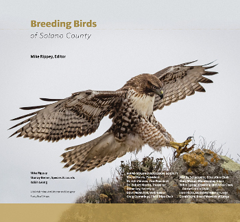 Breeding Birds of Solano County