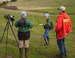 Benicia Christmas Bird Count