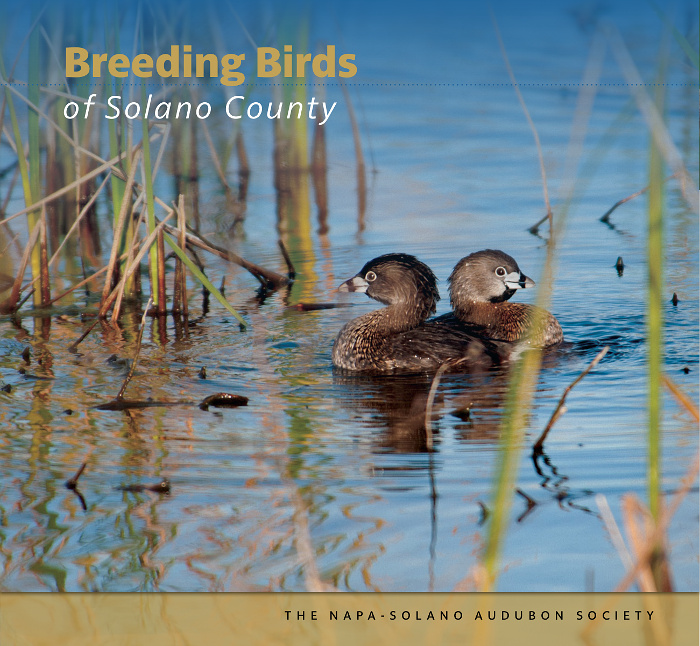 Breeding Birds of Solano County Reviews & Endorsements