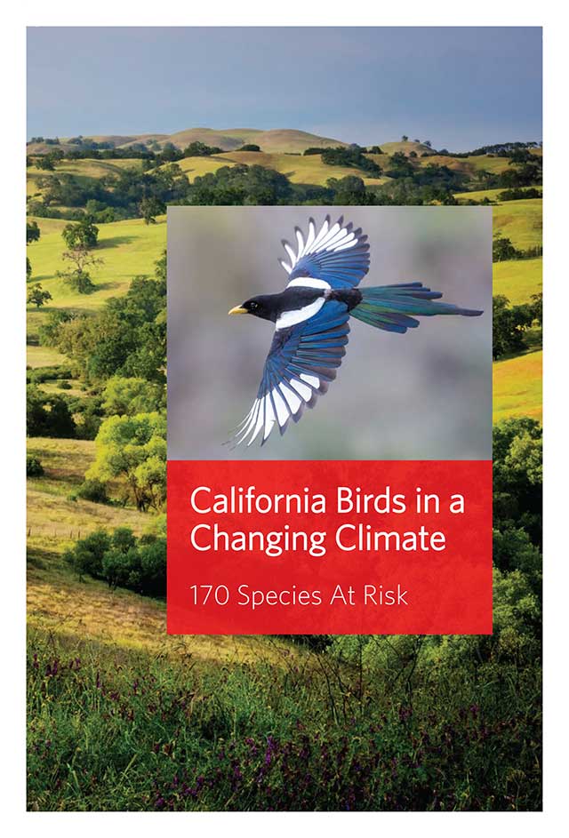 California Birds in a Changing Climate