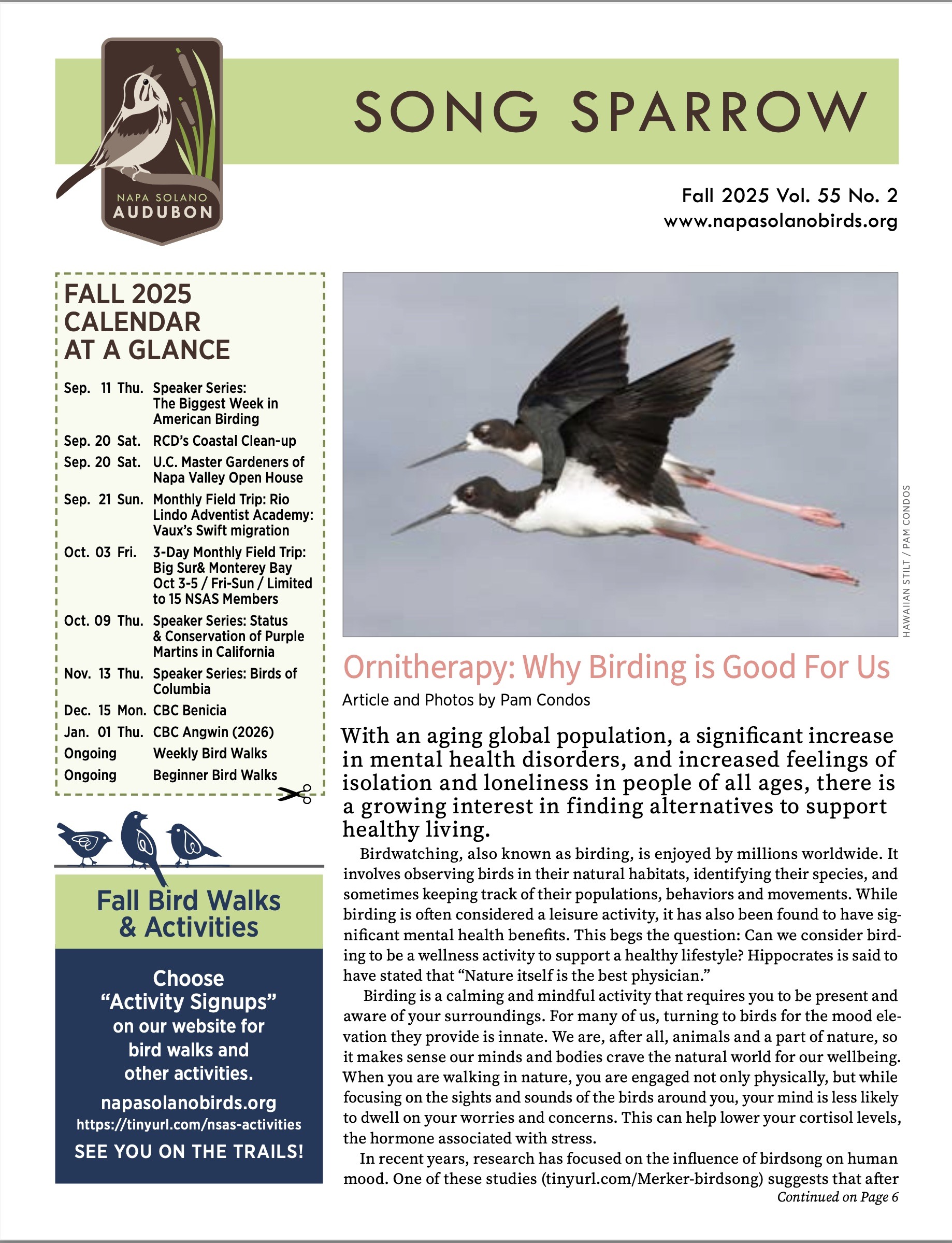 Newsletter