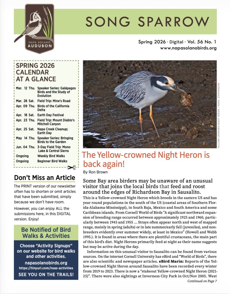 Screenshot Newsletter